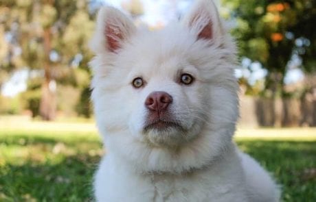 האם אתם רוצים עובדים כאלה בעסק שלכם?